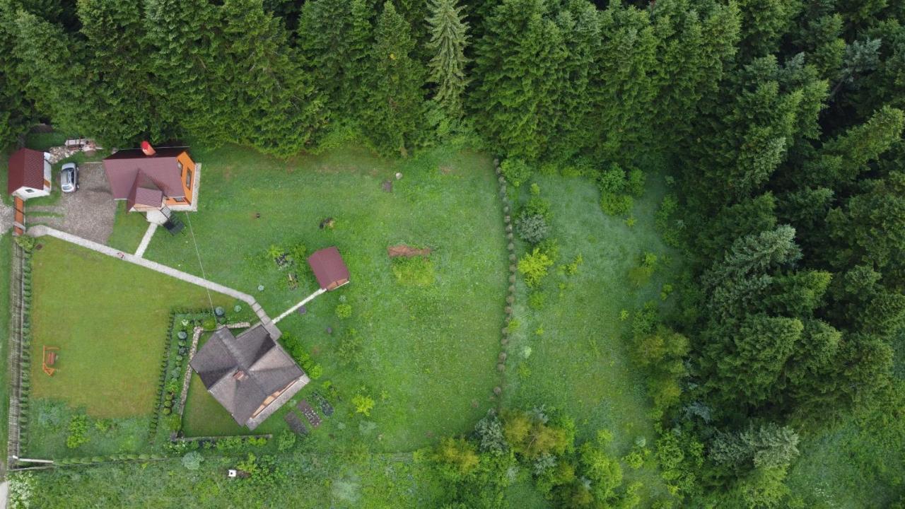 Sadyba Drymba Skhidnytsia Eksteriør billede